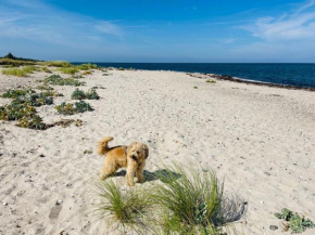 B02 Magellan, Fehmarn
